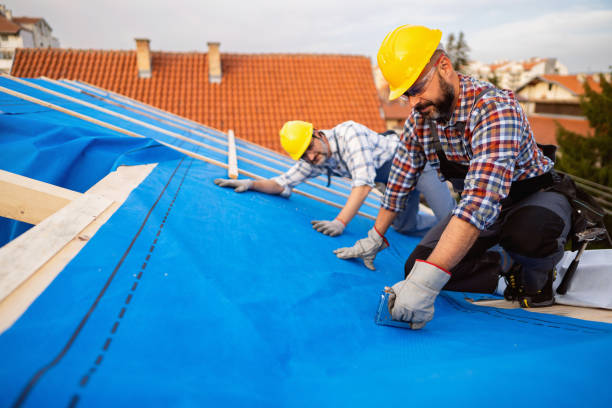 Best Gutter Installation and Roofing  in Macarthur, WV