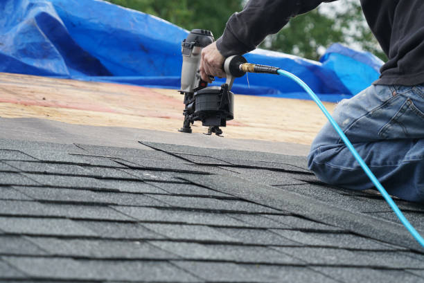 Best Roof Gutter Cleaning  in Macarthur, WV